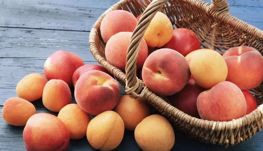 desidoc-blog-varieta-pesche-albicocche-siciliane