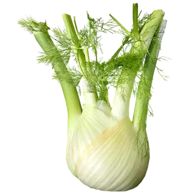 DesiDoc